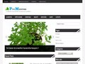 Détails : PycMenthe - Les Recettes à la menthe