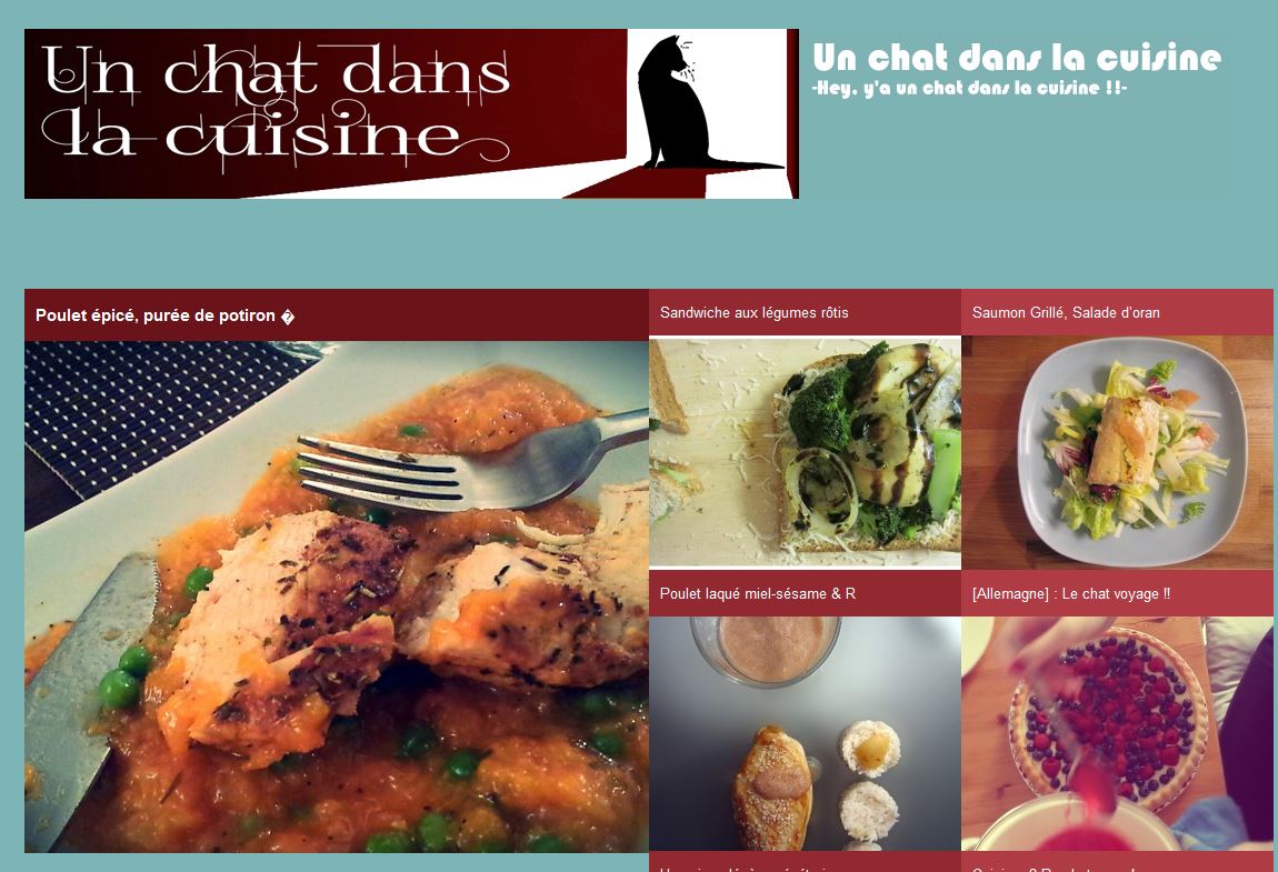 Détails : Un chat dans la cuisine