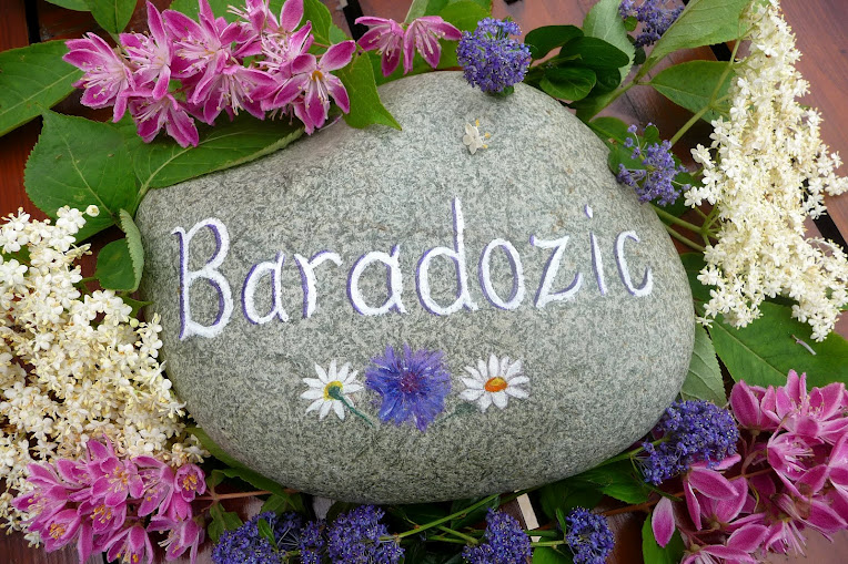 Baradozic