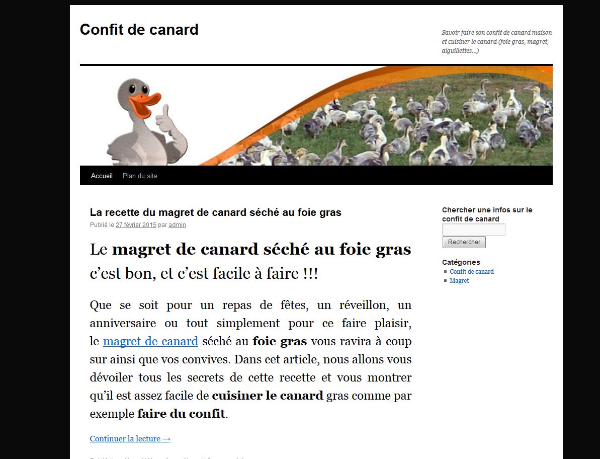 Confit de canard